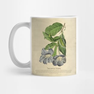 Beautiful Tacoma With Details Mug